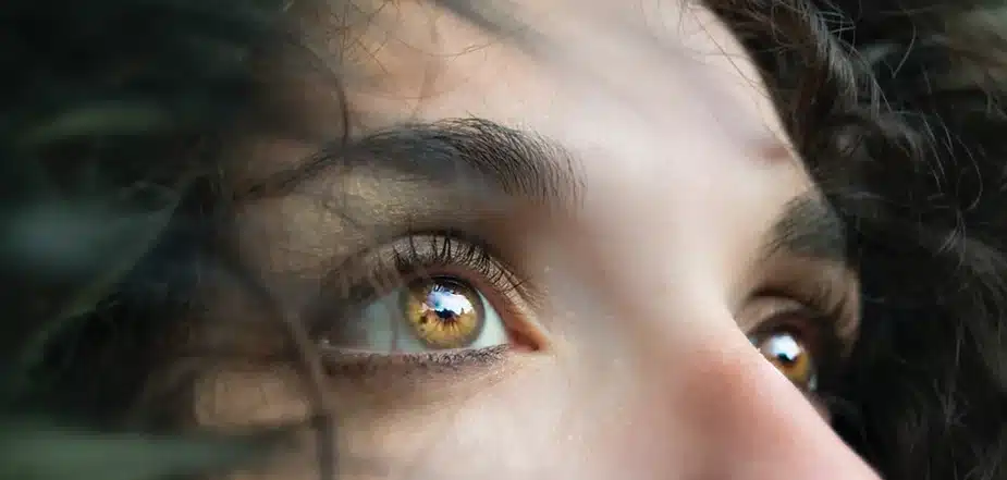 Fires and Mental Wellbeing: Unmasking the Hidden Impact – Part Two